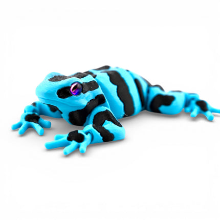 3D Printed Poison Dart Frog with Realistic Glass Eyes – 3.5 Inches Long