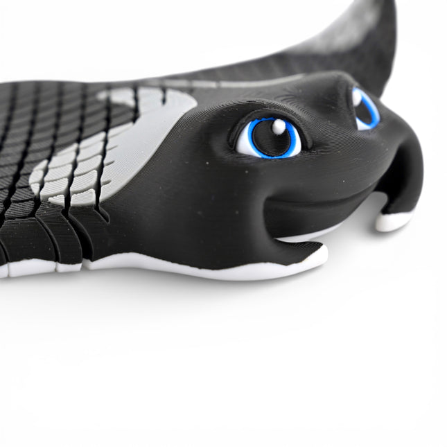 3D Printed Flexi Manta Ray – “Manny” with Realistic Glass Eyes