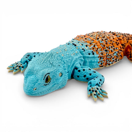 3D Printed Articulated Agama Lizard with Realistic Glass Eyes