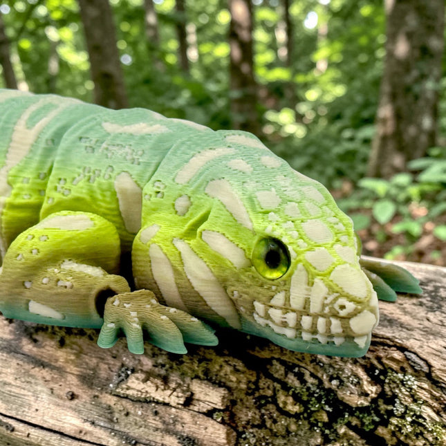 3D Printed Tegu with Realistic Glass Eyes – Matcha Morph (10 Inches Long)