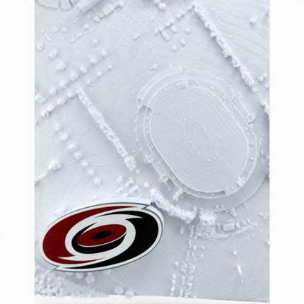 Tidal 3D Printed Carolina Hurricanes PNC Arena 3D topographical wall art in a natural wood frame