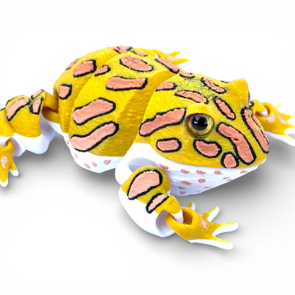 3D Printed Albino Pac Man Frog with Realistic Glass Eyes