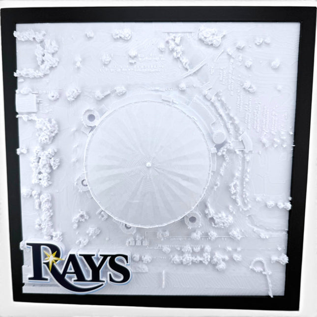 Tidal 3D Printed Tampa Bay Rays Tropicana Field 3D topographical wall art in a black frame