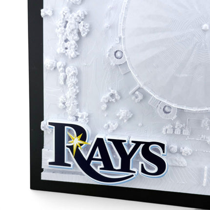 Tidal 3D Printed Tampa Bay Rays Tropicana Field 3D topographical wall art in a dark brown frame