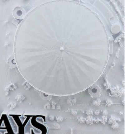 Tidal 3D Printed Tampa Bay Rays Tropicana Field 3D topographical wall art in a dark brown frame