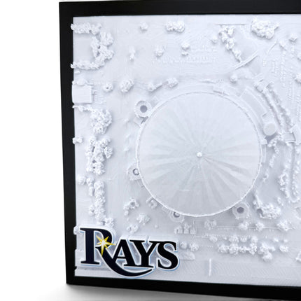 Tidal 3D Printed Tampa Bay Rays Tropicana Field 3D topographical wall art in a natural wood frame