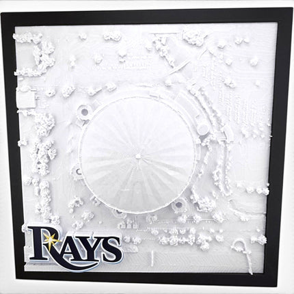 Tidal 3D Printed Tampa Bay Rays Tropicana Field 3D topographical map wall art close-up detail