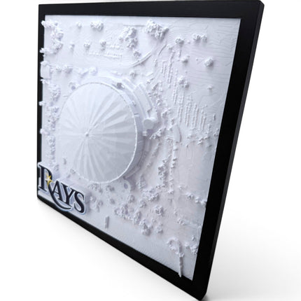 Tidal 3D Printed Tampa Bay Rays Tropicana Field 3D topographical wall art in a black frame