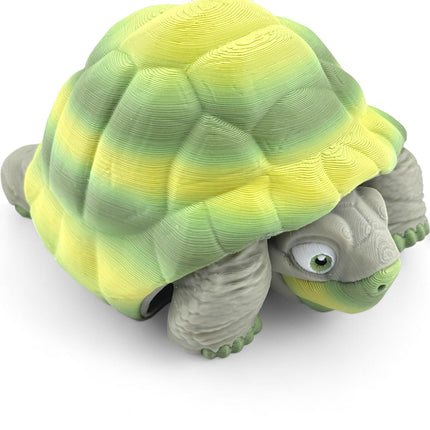 3D Printed Tortoise