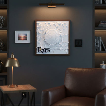 Tidal 3D Printed 12.9 x 12.9 inch framed white topographical wall art of Tropicana Field with Tampa Bay Rays logo in a wood frame.